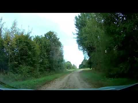 Видео: Беларусь, Могилевская обл.,Чериковский р-н, п. Заря, Средний, Подломье.