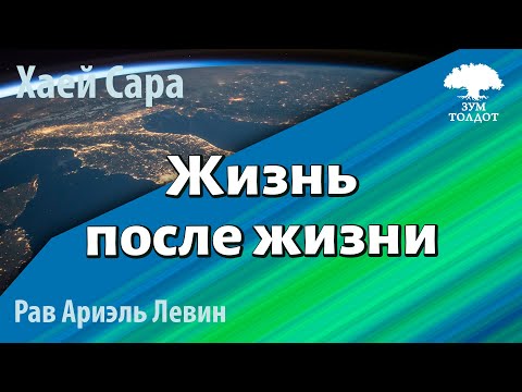 Видео: Zoom-уроки Толдот.ру