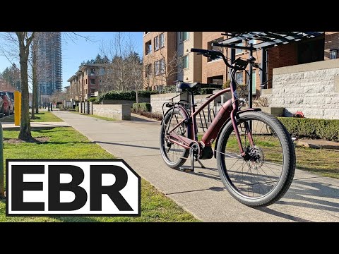 Видео: Обзор эквалайзера Electra Townie Path Go! 10D — $3,7 тыс.