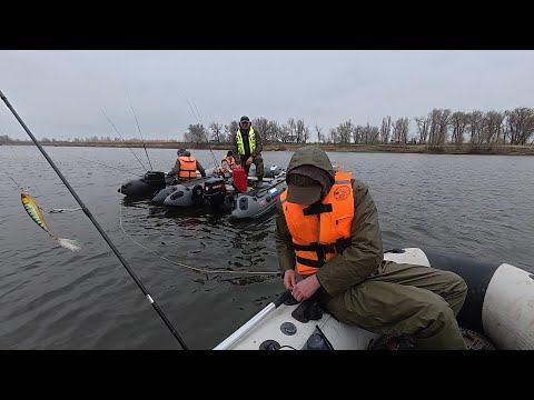 Видео: Весенняя рыбалка на Ахтубе, Харабали-Гремучий. Погода хорошая, клёв не очень