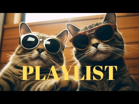 Видео: 🎵 Музыка для влогов пары 💕 Плейлист маленьких радостей | BGM для свиданий | playlist #безрекламы