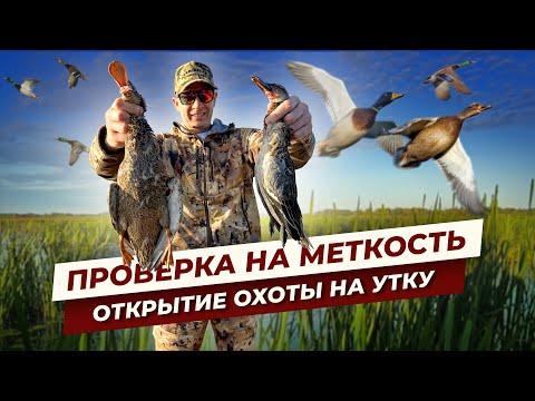 Видео: Душевная охота. Осеннее открытие по утке 2025. Утка стала умнее.