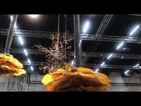 Видео: Райский сад Mitt&Ditt