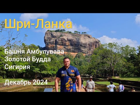 Видео: Шри-Ланка. Сигирия–восьмое чудо света. Декабрь 2024