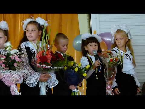 Видео: клятва первоклашек