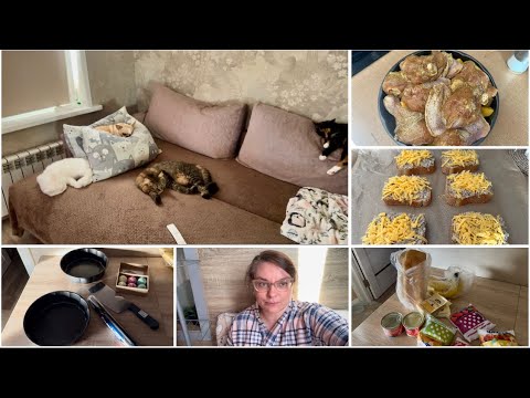 Видео: Влог 📽️ Бутерброды из 90-х 🥪 Зимняя сказка ❄️ Покупочки 🛍️ Ириска с Пандорой подружились 😽 Гуляем 🐶 