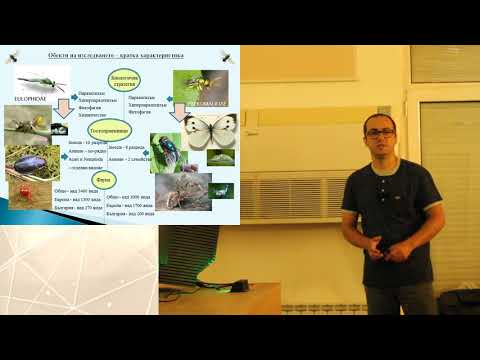 Видео: Биоразнообразие на семействата Eulophidae и Pteromalidae (Hymenoptera: Chalcidoidea)