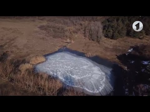 Видео: В путь! Поселок Карманово - 15/03/18