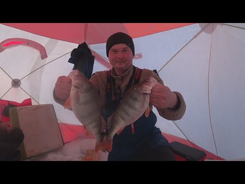 Видео: ЛОВИМ ТРОФЕЙНЫХ ОКУНЕЙ НА МОРМЫШКУ. РЫБАЛКА В КАЗАХСТАНЕ. КЕНГИРСКОЕ ВОДОХРАНИЛИЩЕ.