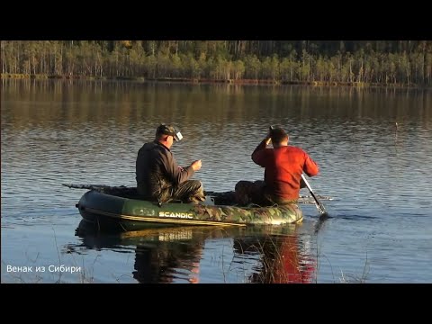 Видео: Чуть не утонули в болоте!  Щуки прыгают прямо в лодку! (Таежные преключения часть 2)