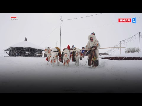 Видео: Огненное шоу, ненецкая свадьба, золотой голос Ямала: в Яр-Сале с размахом прошел День оленевода