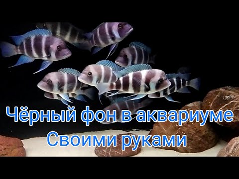 Видео: ФОН ДЛЯ АКВАРИУМА. Это лучшее решение, справится даже ребёнок 👍👍👍🐟