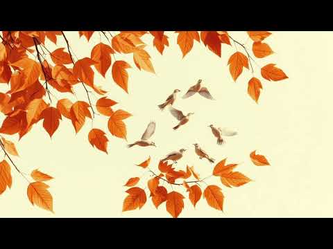 Видео: Сквозь время