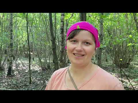 Видео: Прогулялись отлично / вот это улов / готовлю / что купила😉👍