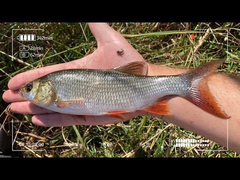 Видео: Пробуй такие приманки! Нимфинг в мормышинге.