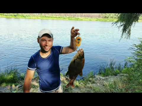 Видео: Отдых с палатками в Пирново. Десна. Пляж на Десне. Рыбалка.