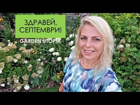 Видео: ОБИКОЛКА на градината в края на АВГУСТ | Garden Utopia
