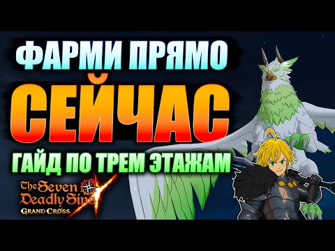 Видео: ГАЙД ПО ПРОХОЖДЕНИЮ ВСЕХ ЭТАЖЕЙ ХРЕСВЕЛЬГА! ФАРМИ ПОКА НЕ ПОЗДНО | Seven Deadly Sins: Grand Cross