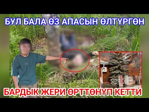 Видео: КӨРҮП ЖҮРӨК ТҮШӨТ/БАРДЫК ЖЕРИ ӨРТТӨНҮП КЕТТИ