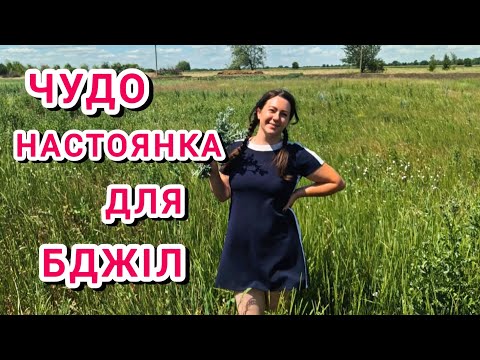 Видео: Рецепт настоянки від нозематозу, опоношення та повзаючих бджіл перед вуликом. Вплив полину на бджіл
