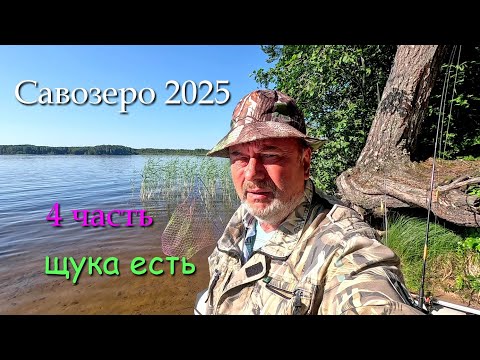 Видео: #4 Савозеро 2025 / 4 часть / за лещом и щукой на 5 дней в июле