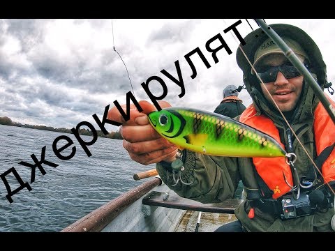 Видео: РЫБАЛКА в глухозимье  на ДЖЕРКИ и КРУПНЫЙ силикон, много щуки..я не мог и мечтать о таком улове.