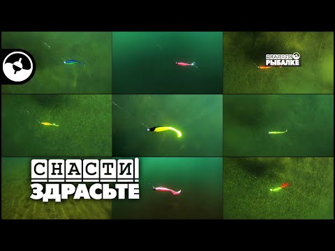 Видео: Джиговые приманки. Какую выбрать | Снасти, здрасьте!