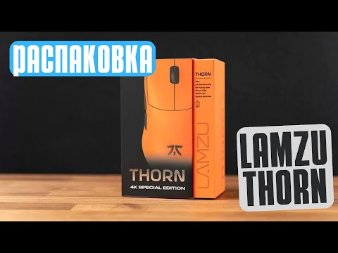 Видео: LAMZU THORN но ЛИМИТИРОВАННАЯ! Распаковка Lamzu Thorn Fnatic Limited Edition