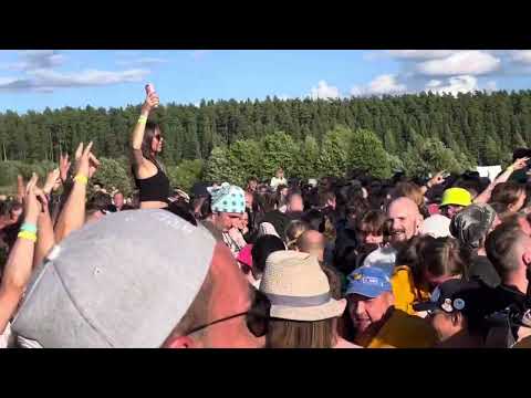 Видео: Тролль Гнет Ель — В плену грибов Былинный Берег 2023