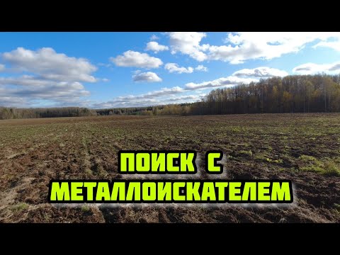 Видео: Поиск с металлоискателем TX 850. Коп монет