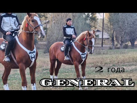 Видео: ГЕНЕРАЛ КЕЛДИ