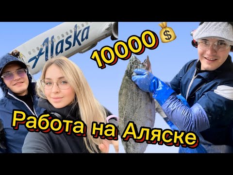 Видео: Работа в Америке.Где платят 10000$ в месяц .Работа Аляска.Заводы в Америке.Сезонные заработки в США.