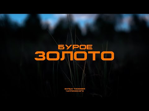 Видео: БУРОЕ ЗОЛОТО | ФИЛЬМ О ДОБЫЧЕ ТОРФА В БЕЛАРУСИ