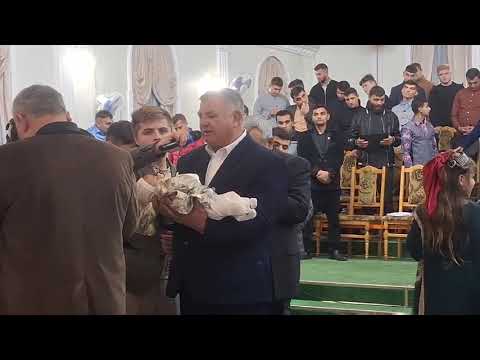 Видео: Богар серожа л зелдиско