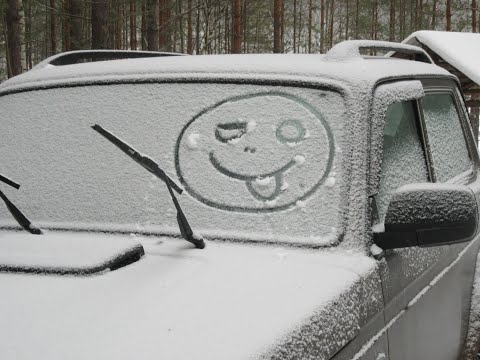 Видео: Новогодние каникулы