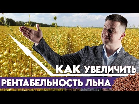 Видео: 7 шагов для успешного выращивания льна. Простые советы для повышения урожаев.