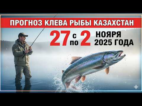 Видео: ПРОГНОЗ КЛЁВА в Казахстане с 27 октября по 2 ноября 2025 года Бросай все и на рыбалку!
