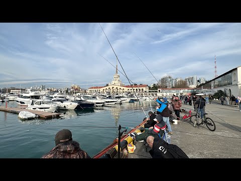 Видео: СОЧИ 2024 / МАЯК / НАБЕРЕЖНАЯ / МОРСКОЙ ВОКЗАЛ / МЕСТА НЕТУ