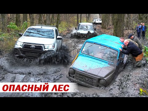 Видео: ОПАСНЫЙ ЛЕС! против  ЛУАЗ, TOYOTA, SUZUKI JIMNY, НИВЫ, УАЗ