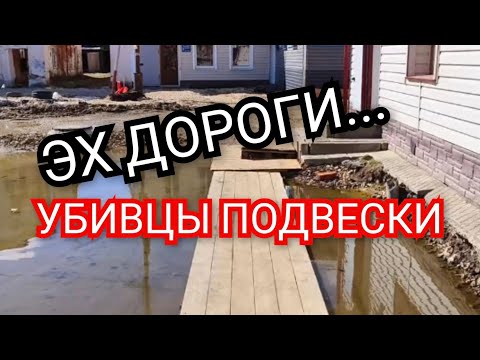 Видео: Катнули в Тамбовскую область.ДОрога Шацк-Моршанск печаль.... #дорога #весна #рынок