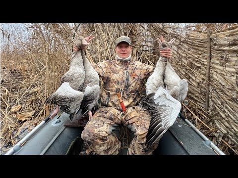Видео: Гуси падают прямо в лодку. Декабрь... охота на гуся во льдах. Вертушка рулит.