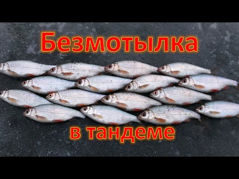 Видео: Безмотылка тандем