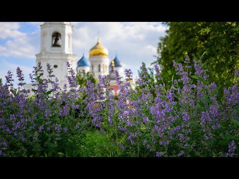 Видео: Николо-Угрешский монастырь. Лето