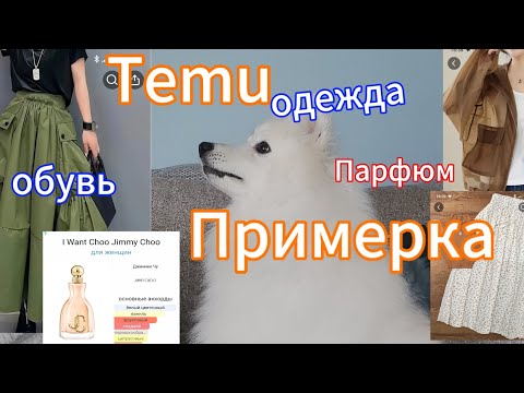 Видео: Одежда, обувь, примерка. Тему. Знакомство с ароматом. Школы в Новой Зеландии
