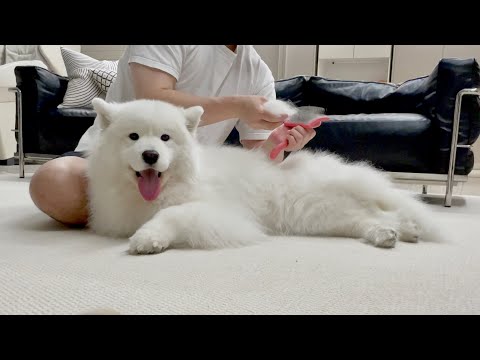 Видео: Сезон пролива здесь...опять...