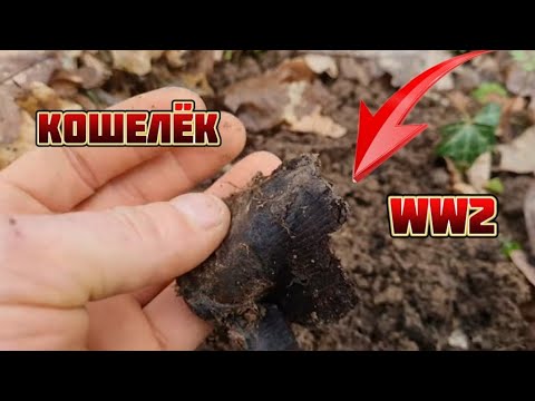 Видео: НАШЕЛ КОШЕЛЁК А ТАМ.....