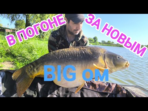 Видео: ВОДОЁМ  "BIG FISH" ПЕРЕБИТЫЙ РЕКОРД💪💪💪