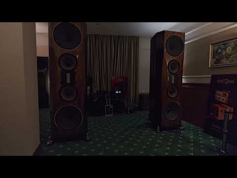Видео: HI-FI & HIGH END SHOW 2025 отель Бородино Москва GONG-AV