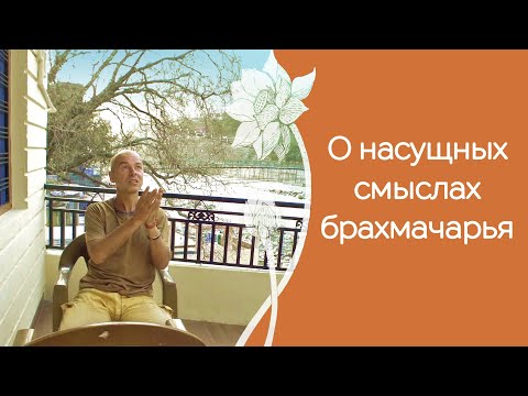 Видео: Брахмачарья - что это в понимании современного человека?