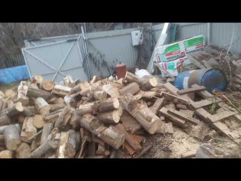 Видео: 13 ноября